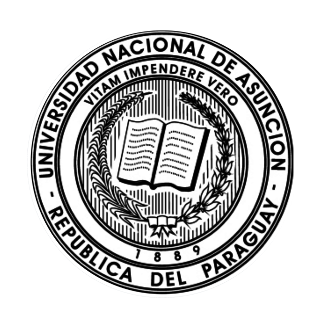 Formación en Medicina<br>y Cirugía en la UNA.<br> Especialización en Cirugía General en el Hospital de Clínicas San Lorenzo